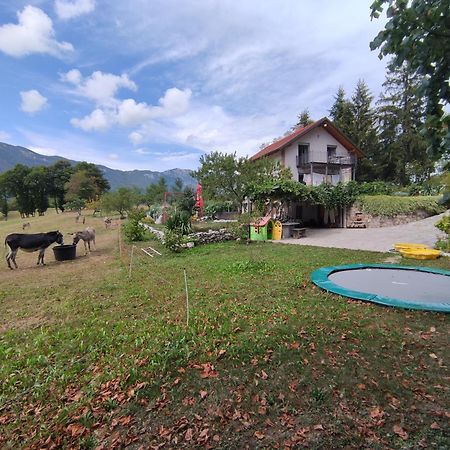 Apartments Leni Postojna Zewnętrze zdjęcie